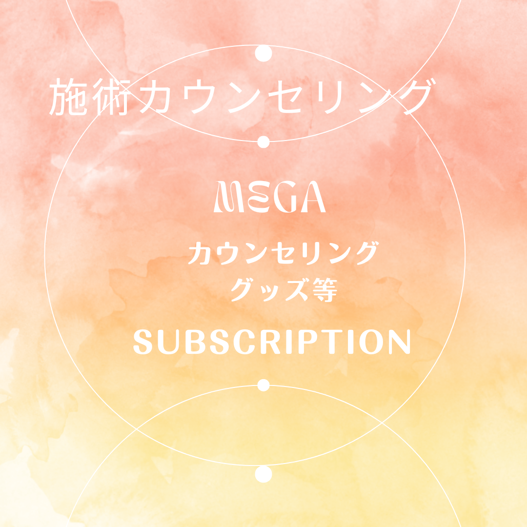 施術カウンセリング MEGA