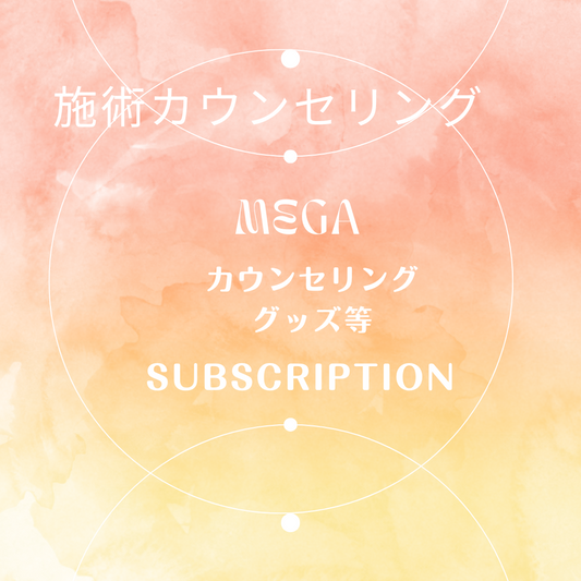 施術カウンセリング　MEGA　